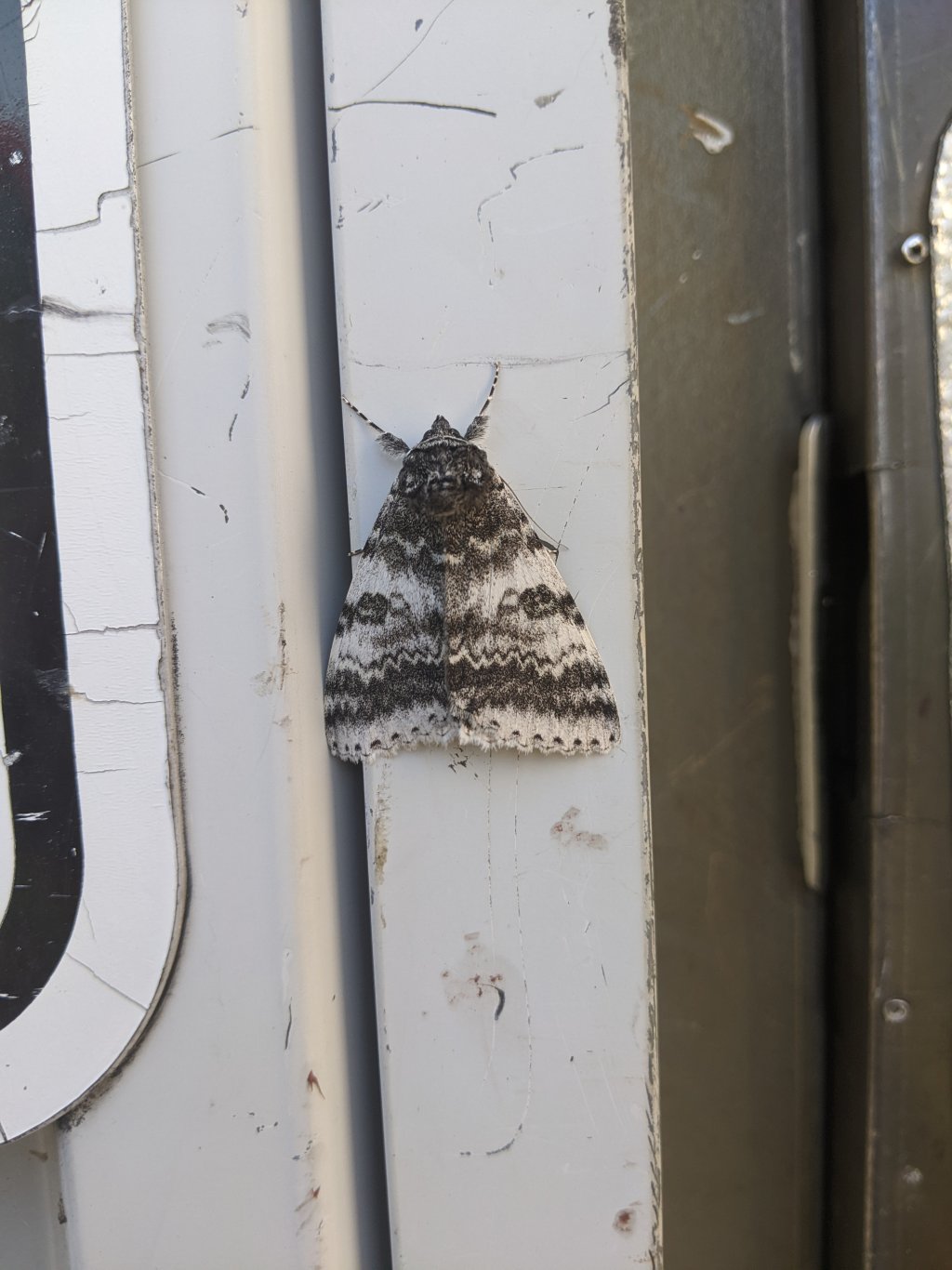 Photo prise à Senneterre, Qc