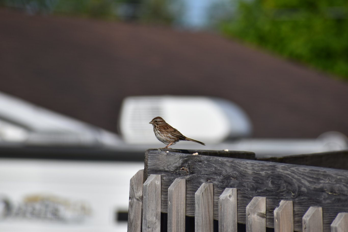 Photo prise à Senneterre, Québec
