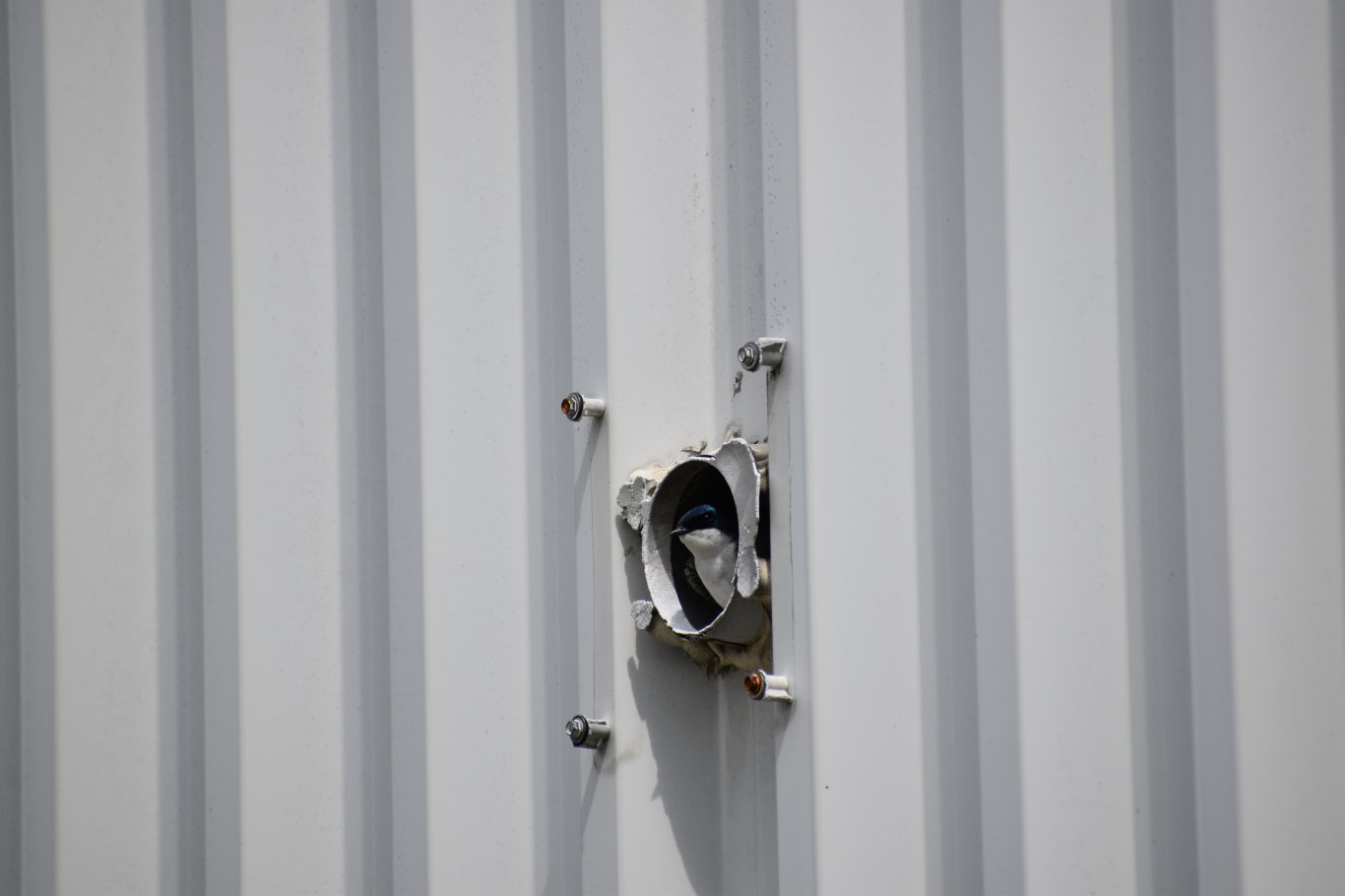 Photo prise à Senneterre, Québec