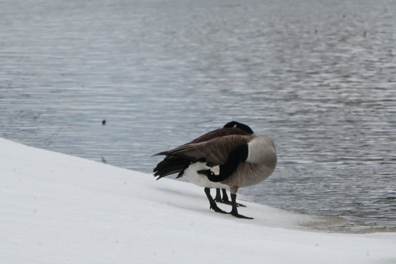 Photo prise à Senneterre, Québec