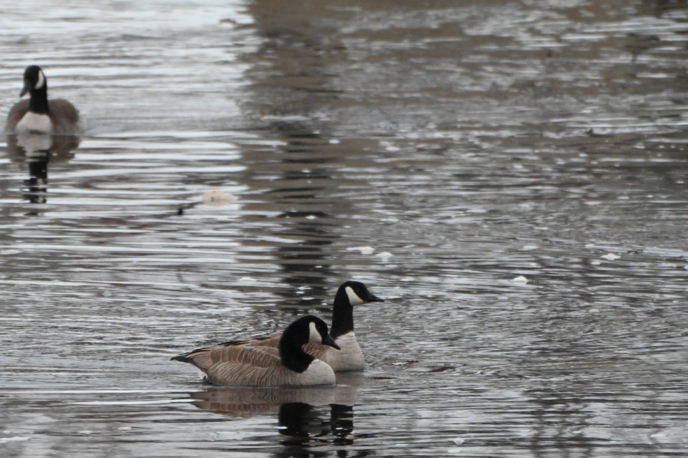 Photo prise à Senneterre, Québec