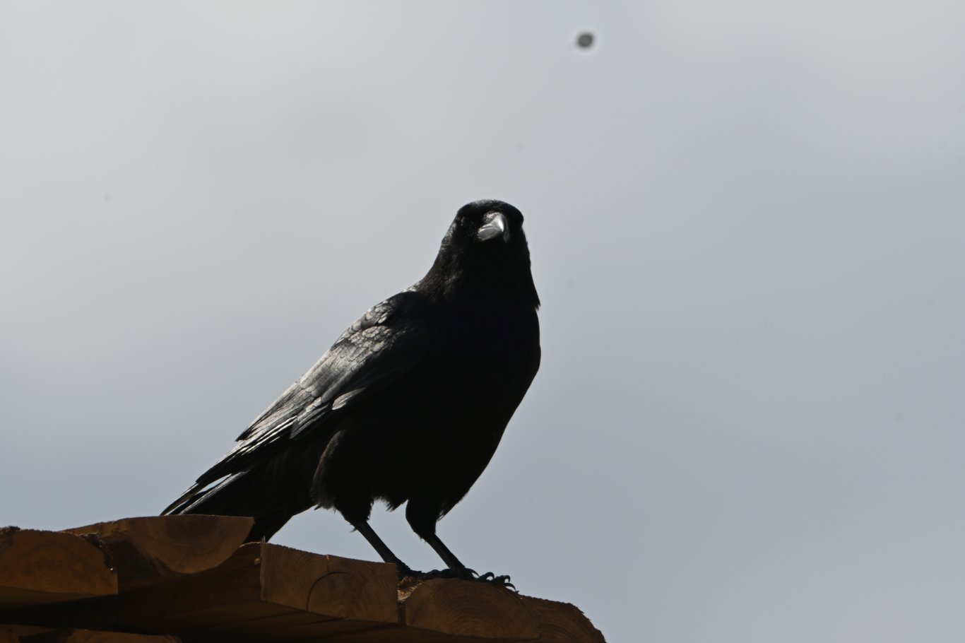 Photo prise à Senneterre, Québec
